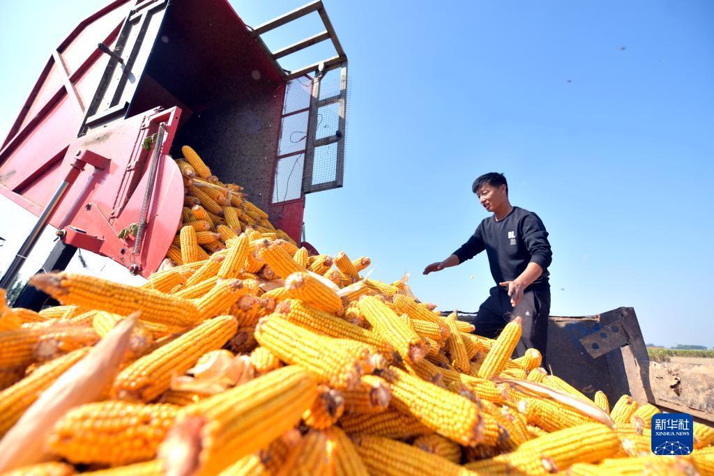 游戏官方下载